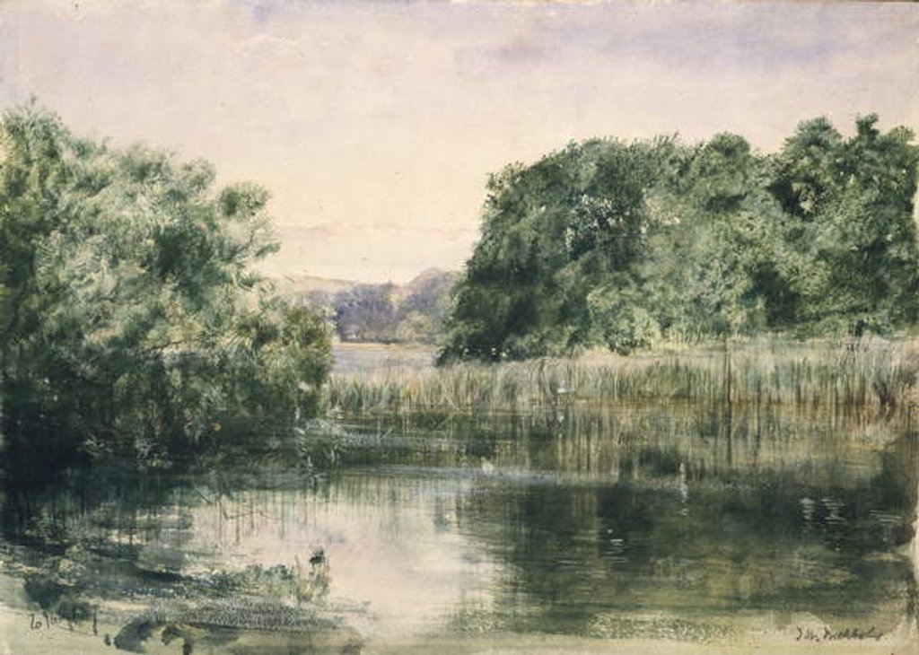 Detail of View of a Lake with Trees, 1857 by John William Inchbold