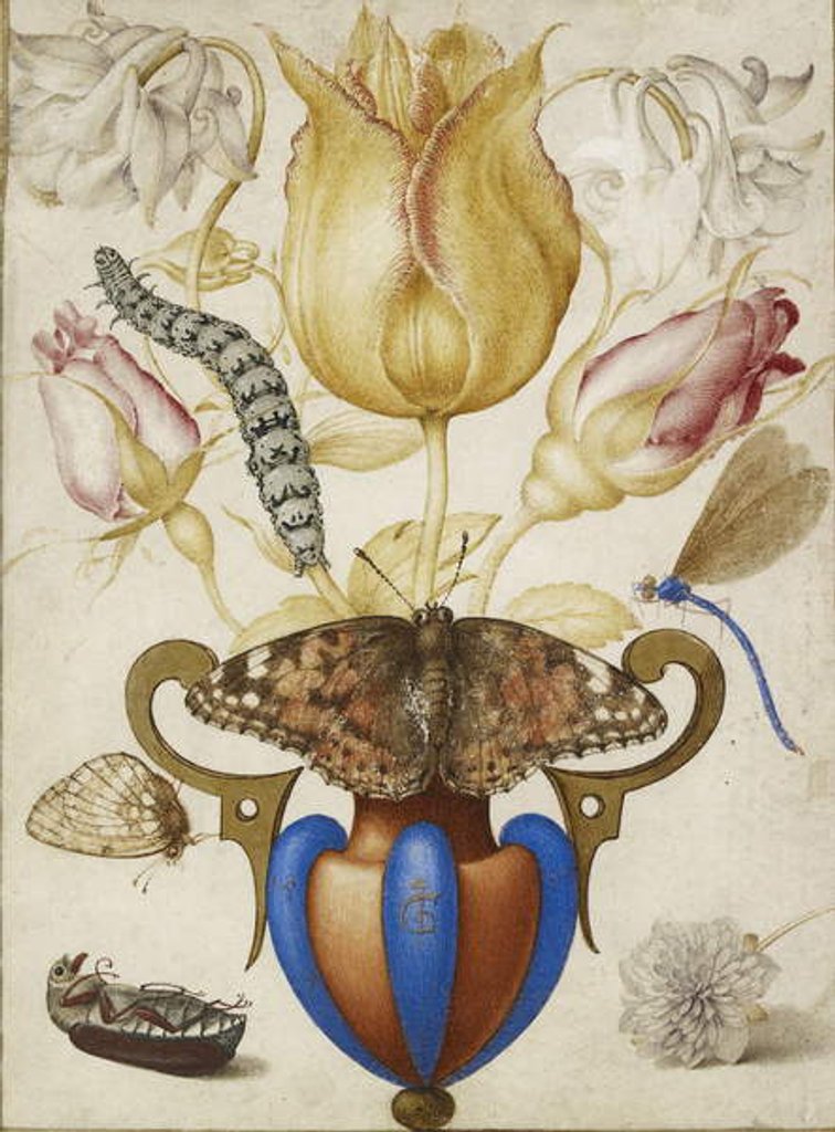Detail of Arrangement of Flowers in a Vase, with Insects, 1594 by Joris Hoefnagel