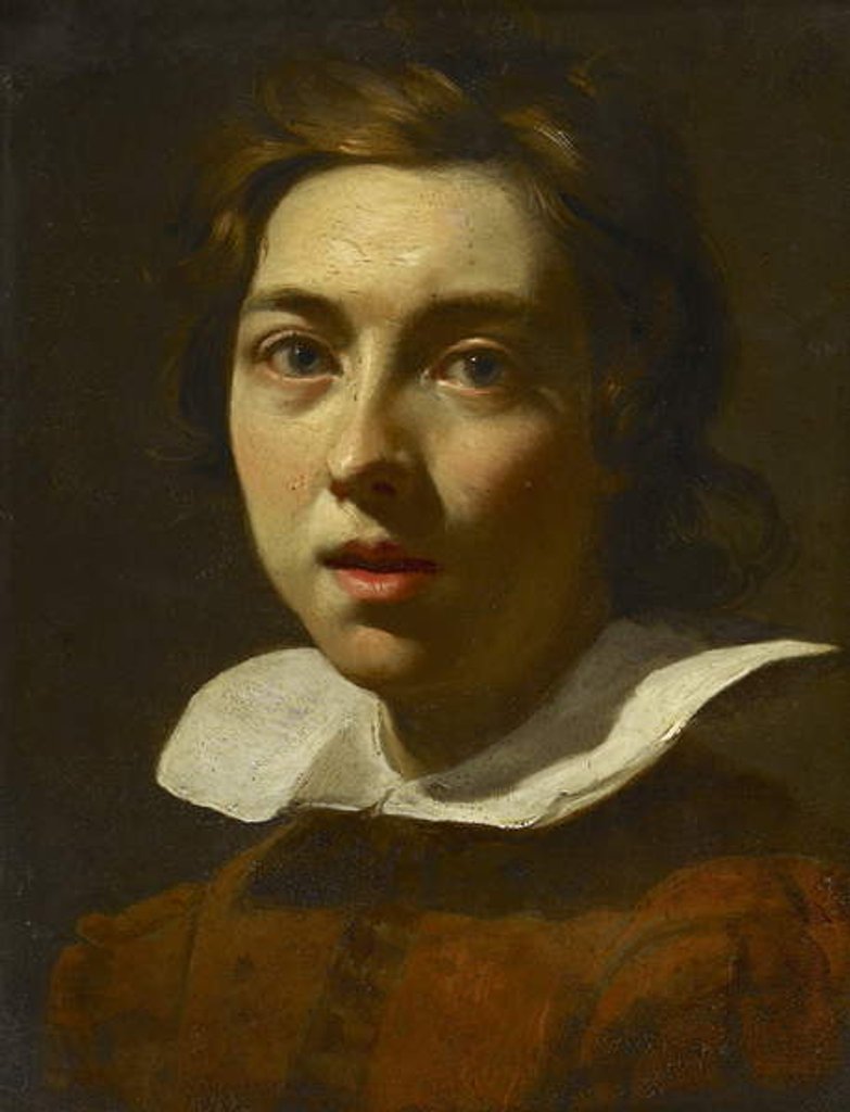 Detail of Portrait of a Young Man by Karel (style of) Dujardin