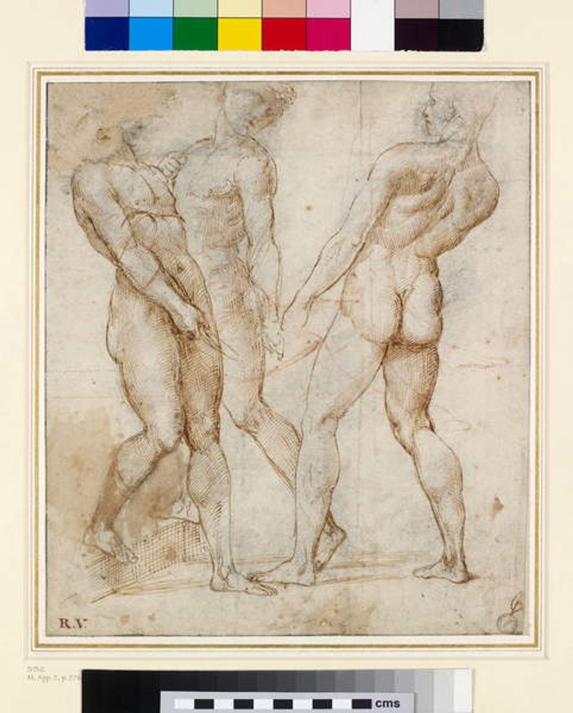 Detail of The Nude Bearers by Raphael (1483-1520)