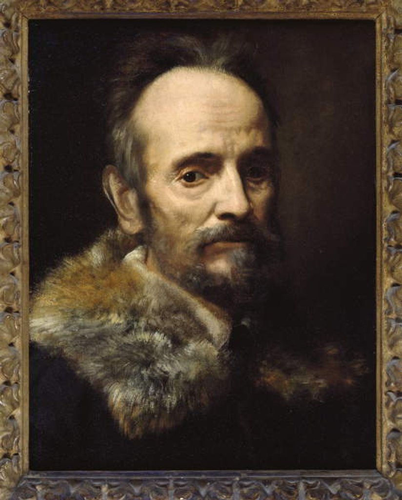 Detail of Bernardo Davanzati Bostichi by Alessandro Allori