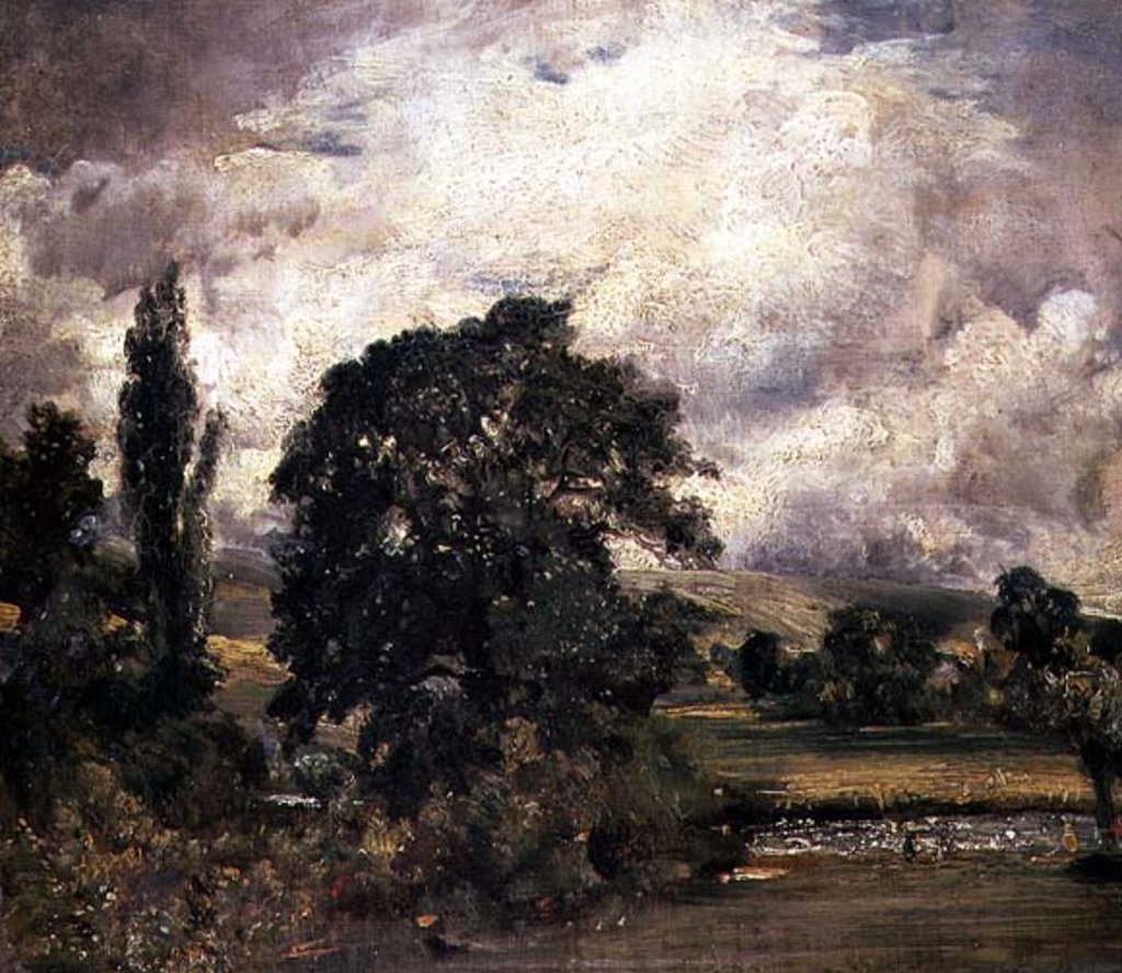 Detail of Water Meadows Near Salisbury, 19th century by John Constable