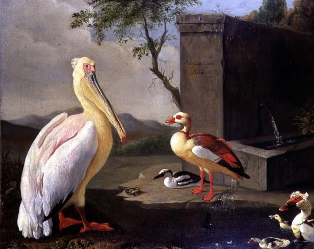 Detail of Oriental Birds by Adrian Coorte