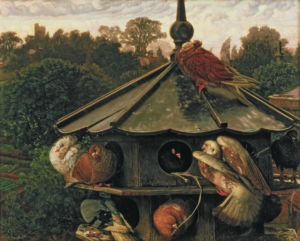 Detail of The Festival of St. Swithin or The Dovecote, 1866-75 by William Holman Hunt