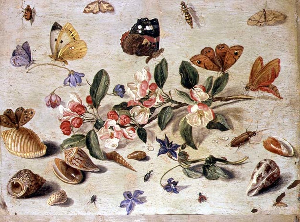 Detail of A Study of Flowers and Insects by Jan van the Elder Kessel