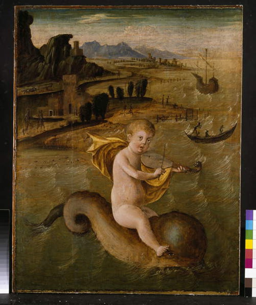 Detail of Arion riding on a Dolphin, c.1509-10 by Francesco Bianchi Ferrari