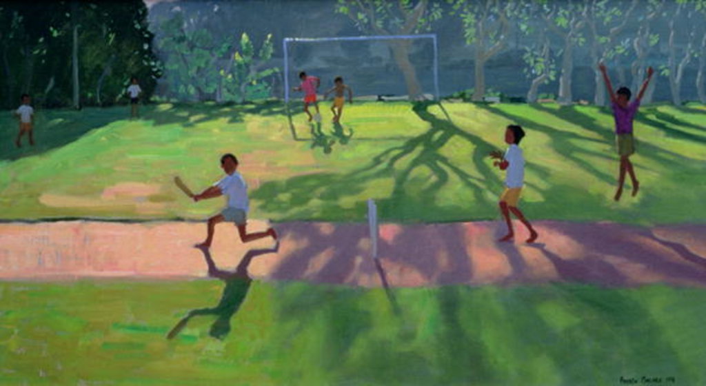 Detail of Cricket, Sri lanka, 1998 by Andrew Macara