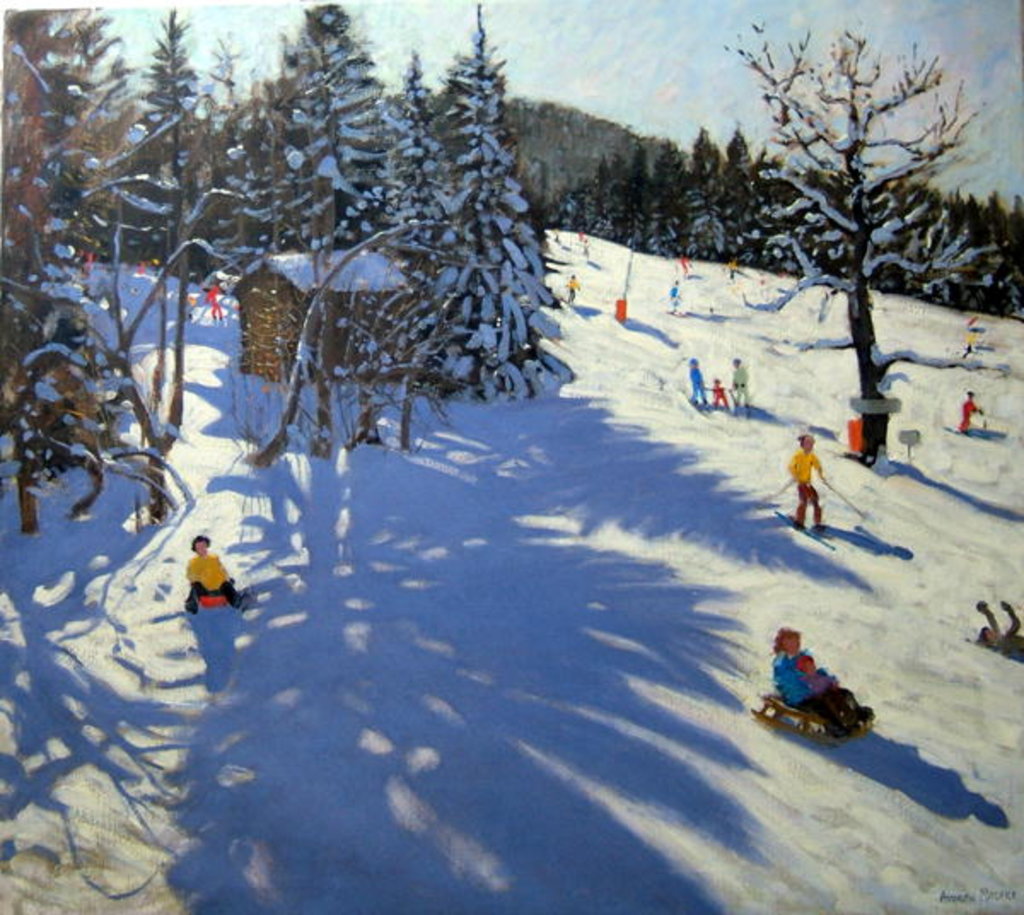 Detail of Mountain hut, Morzine by Andrew Macara