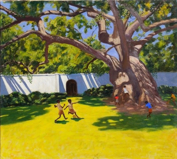 Detail of Ancient Campor Tree, Vergelegen Estate, South Africa, 2010 by Andrew Macara