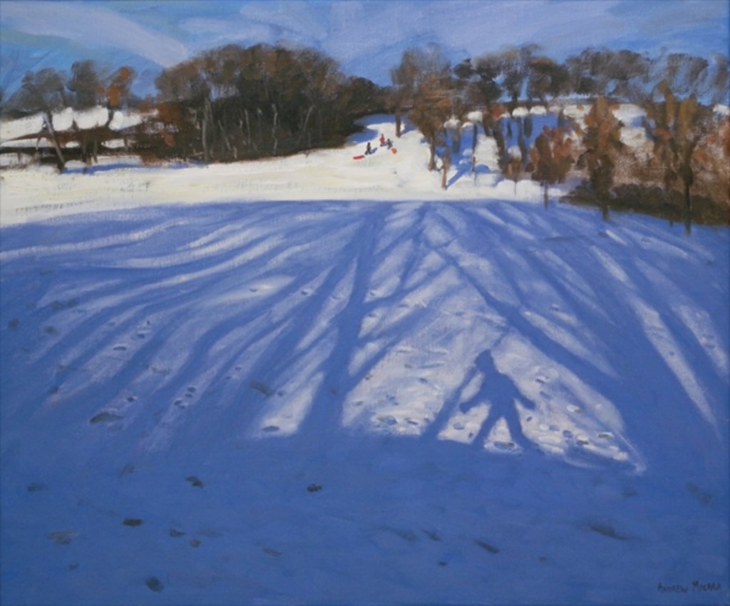 Detail of Shadow of Sledger, 2008 by Andrew Macara