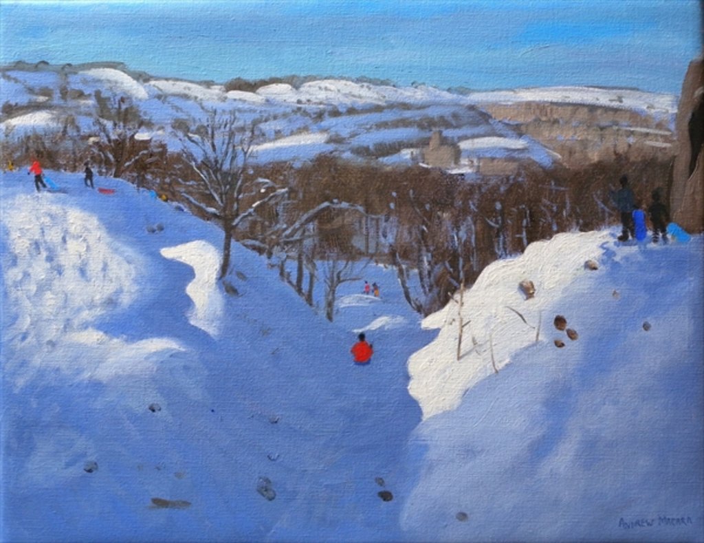 Detail of Gully, Black Rocks, Derbyshire, 2009 by Andrew Macara