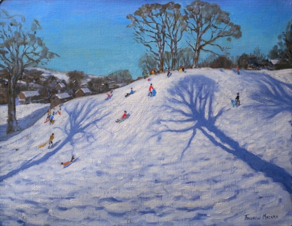Detail of Two Tree shadows, Bolehill, Wirksworth, 2009 by Andrew Macara
