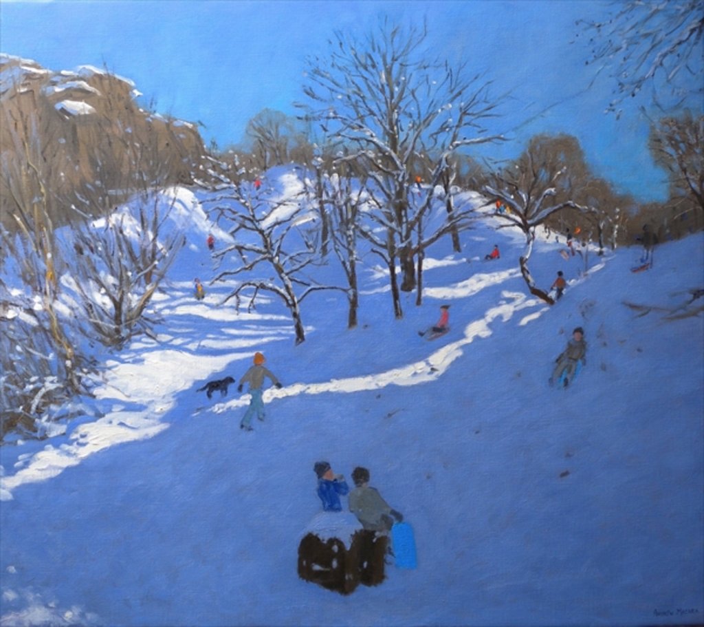 Detail of Bright Morning at Black Rocks, Derbyshire, 2009 by Andrew Macara