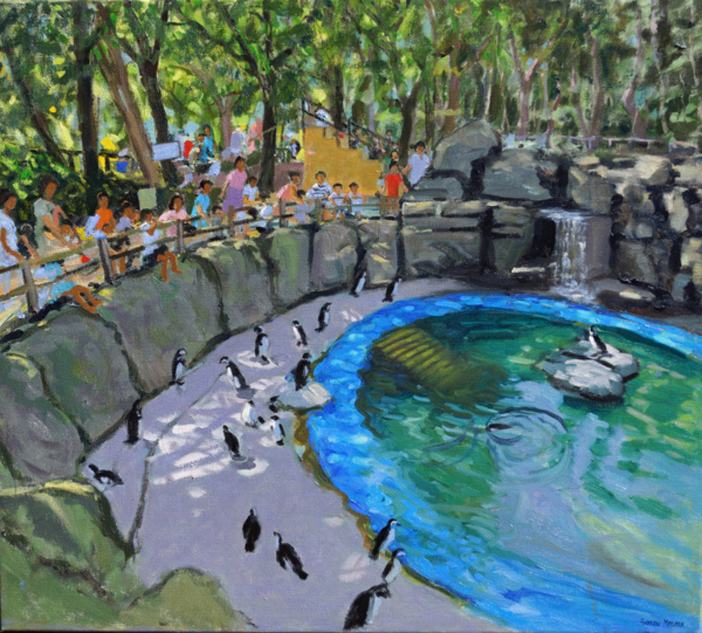 Detail of Penguin Pool, Madrid Zoo, 2015 by Andrew Macara