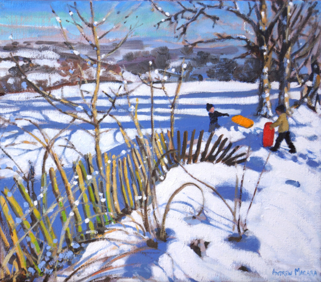 Detail of Red and orange sledges, Derbyshire, 2017 by Andrew Macara