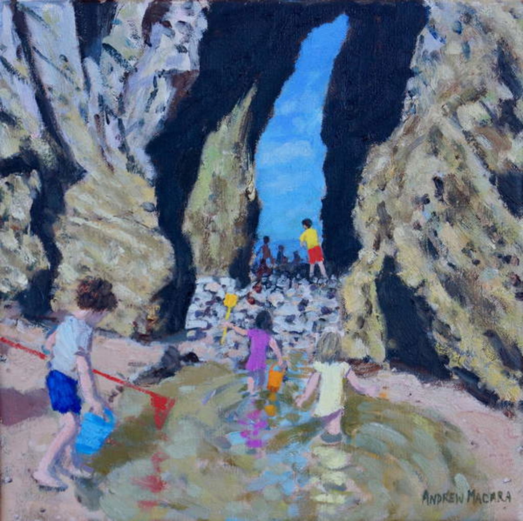 Detail of Rock Pool, Tenby, 2017 by Andrew Macara