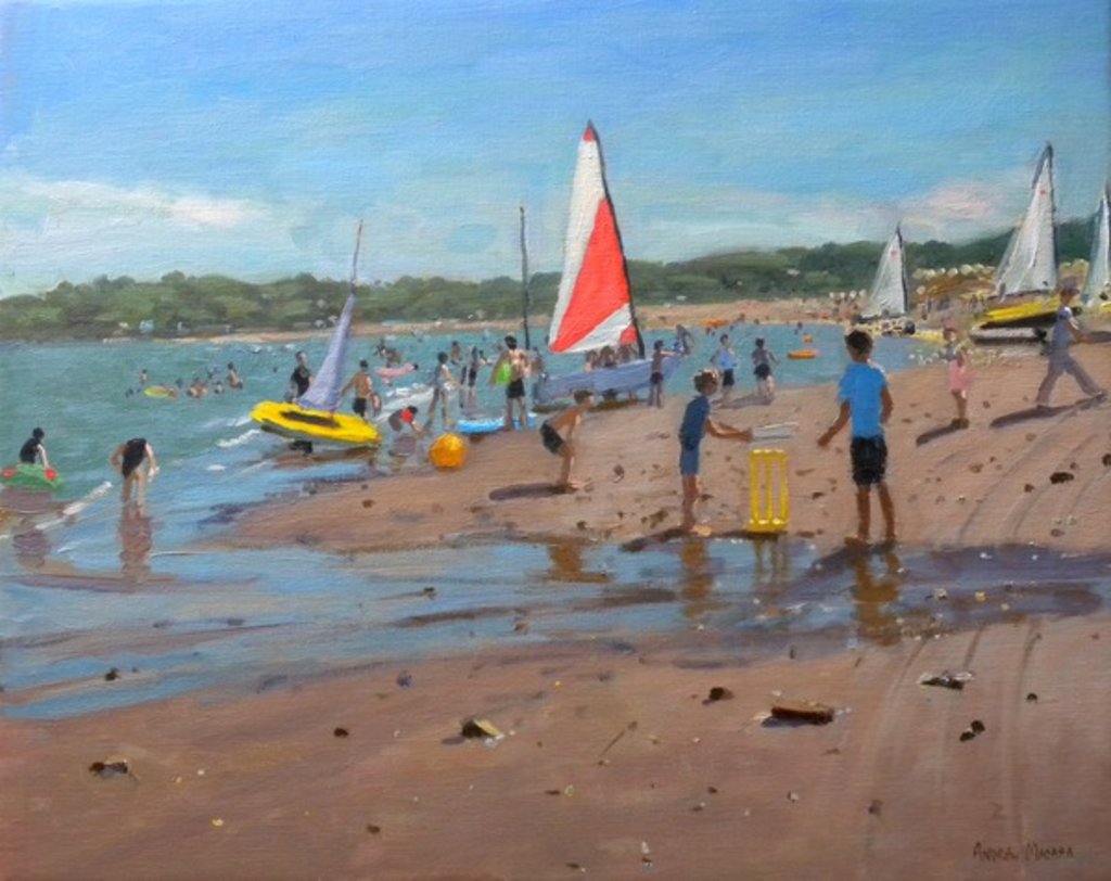 Detail of Beach cricket,Abersoch., 2011 by Andrew Macara