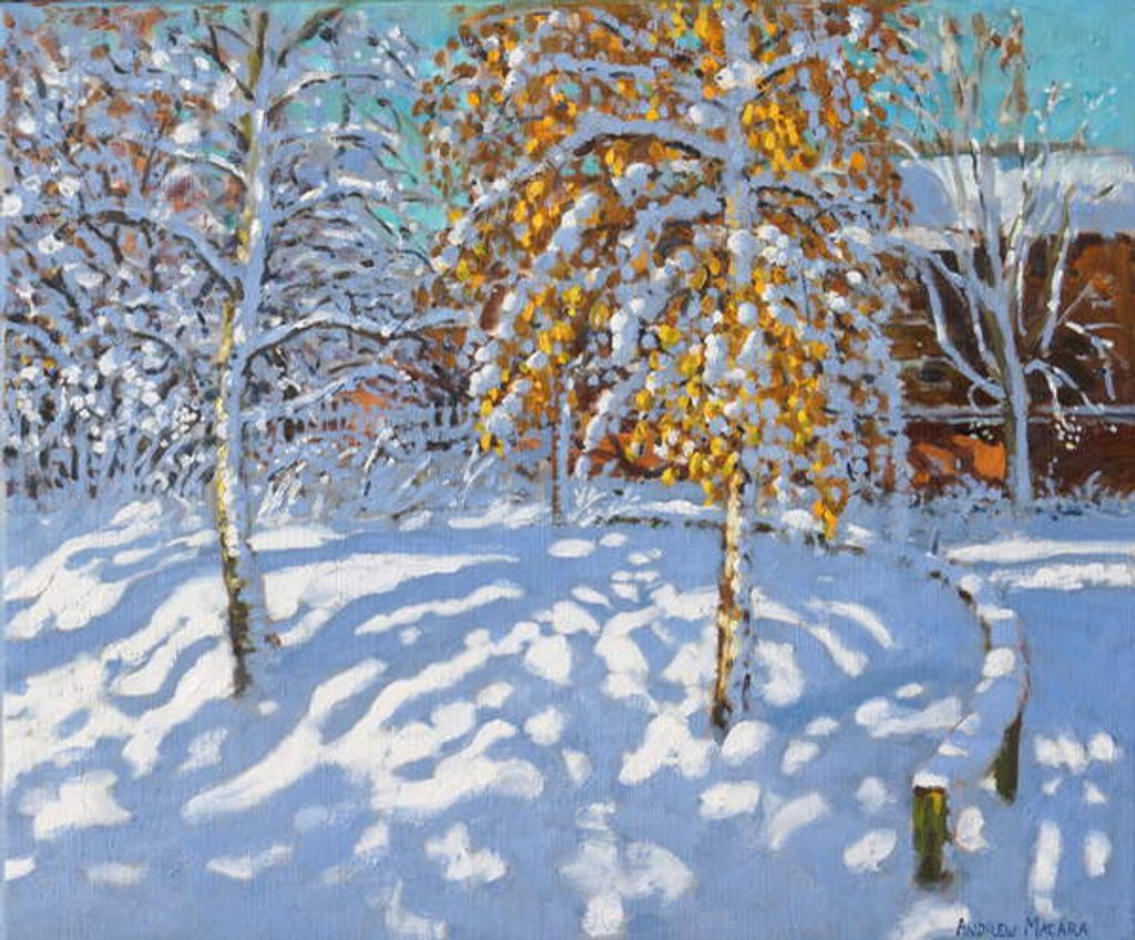 Detail of Golden leaves in winter, Normanton, Derby, 2019 by Andrew Macara