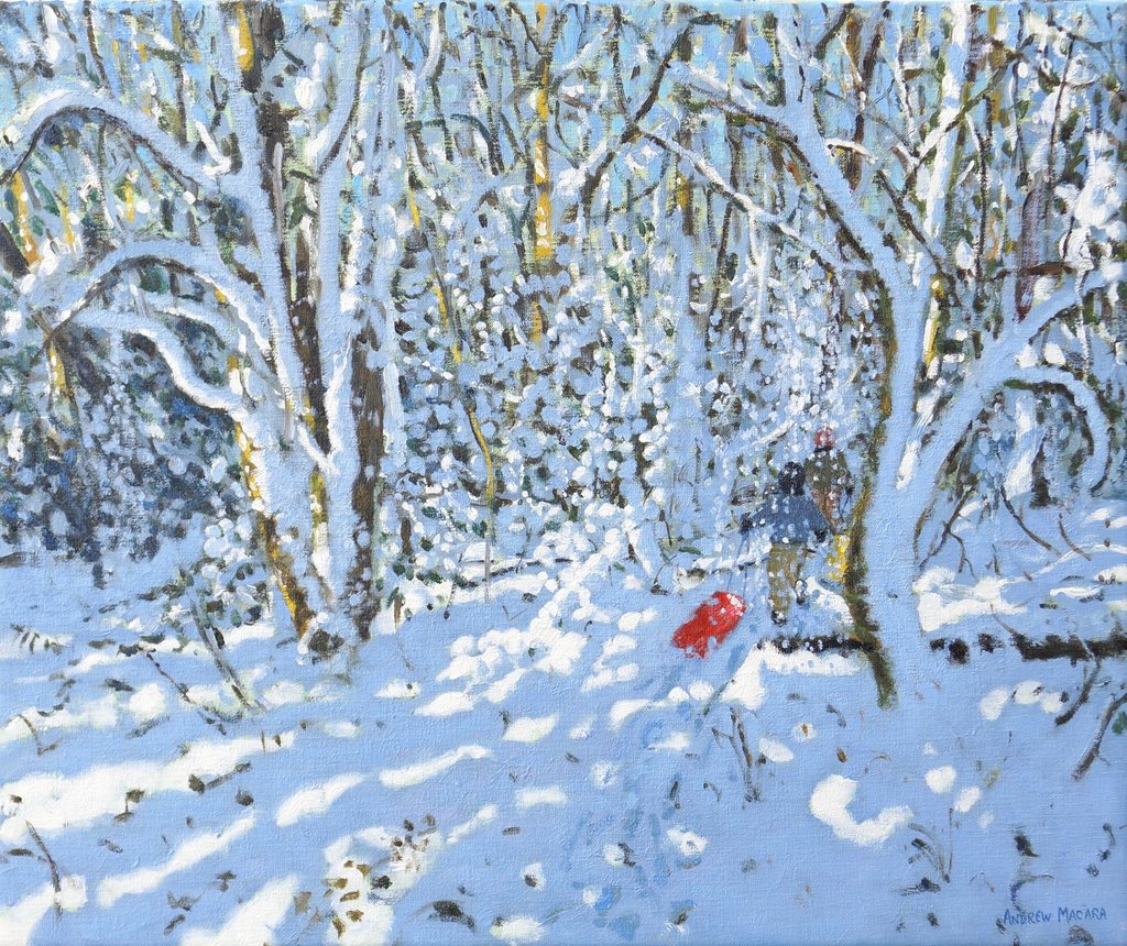 Detail of Red sledge, Allestree Park, Derby, 2022 by Andrew Macara