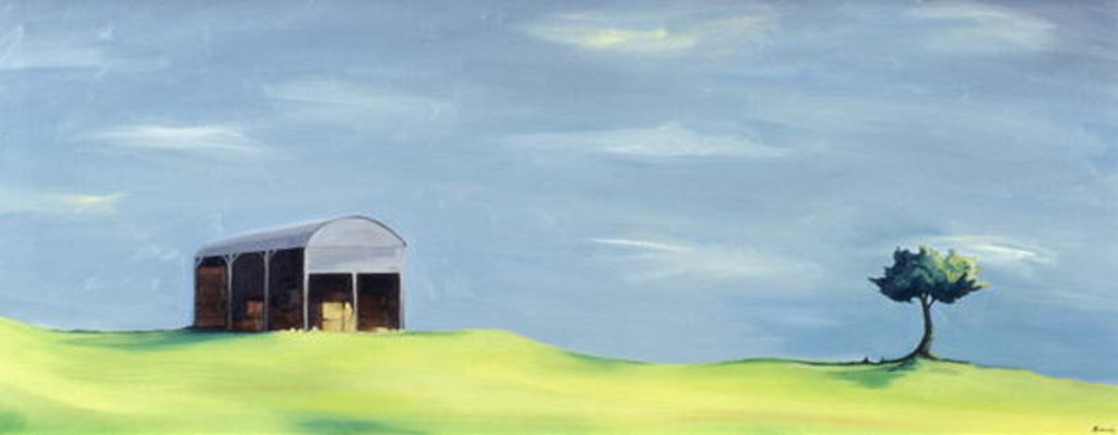 Detail of Poulton Fields by Ana Bianchi