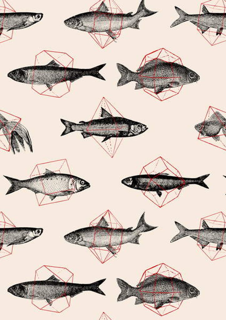 Detail of Fishes in Geometrics, 2016 by Florent Bodart