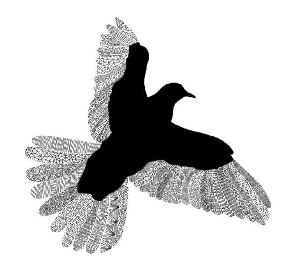 Detail of Bird Line Art, 2016 by Florent Bodart