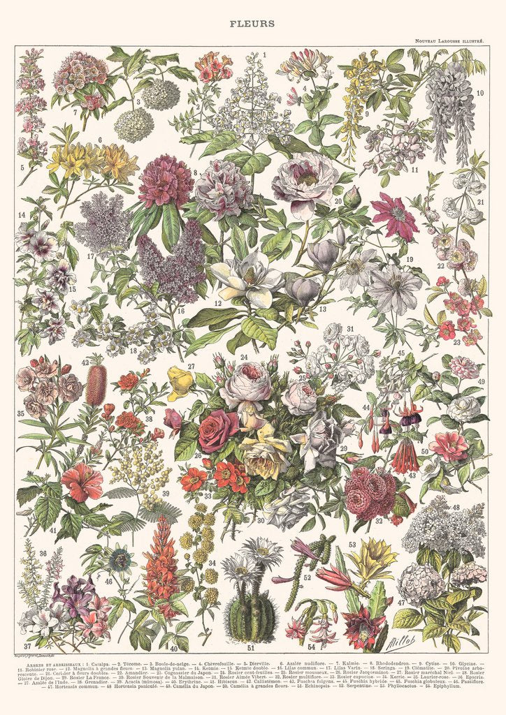 Detail of Fleurs II - ASTER EDITION, 2023 by Florent Bodart