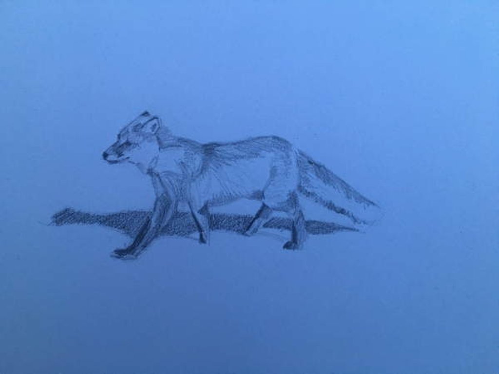 Detail of Fox, 2018 by Barbara Hoogeweegen