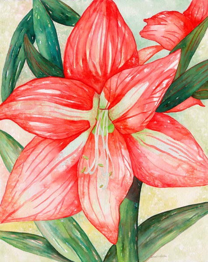 Detail of Amaryllis, 2005 by Deborah Eve Alastra