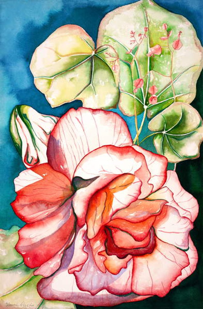 Detail of Begonia, 2006 by Deborah Eve Alastra