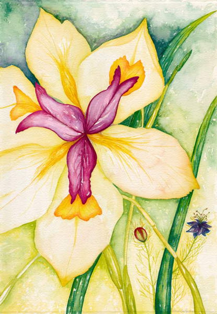 Detail of Lily and Friends, 2007 by Deborah Eve Alastra