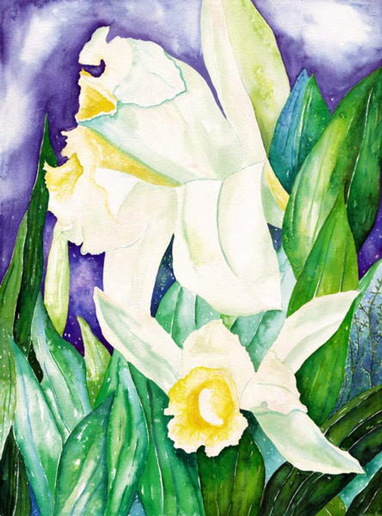 Detail of Night Orchids, 2007 by Deborah Eve Alastra