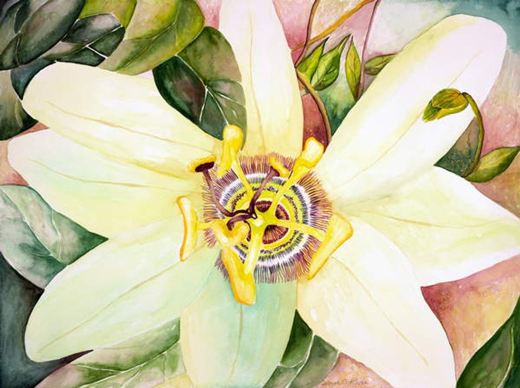 Detail of Passionflower, 2007 by Deborah Eve Alastra