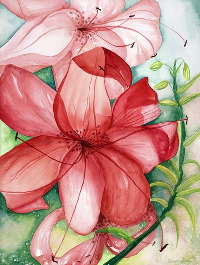 Detail of Tigerlily, 2007 by Deborah Eve Alastra