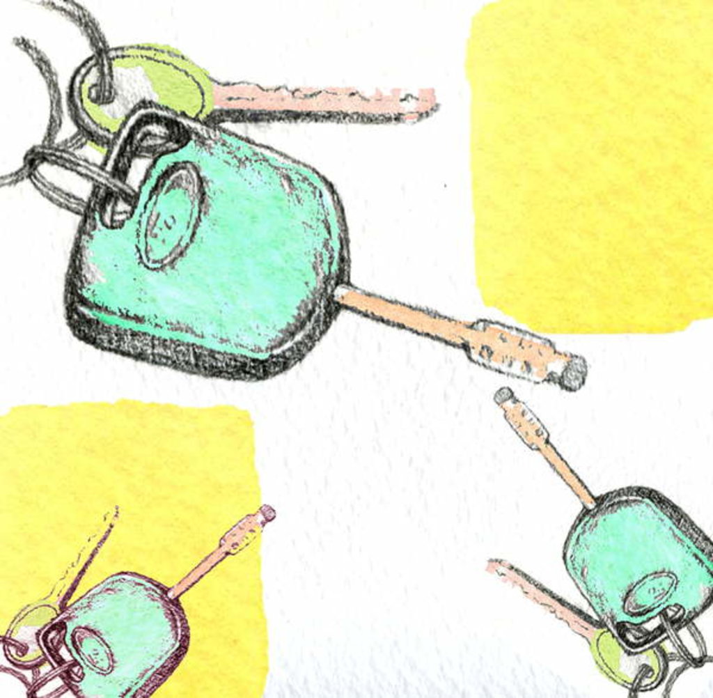 Detail of Car Keys by Anna Platts