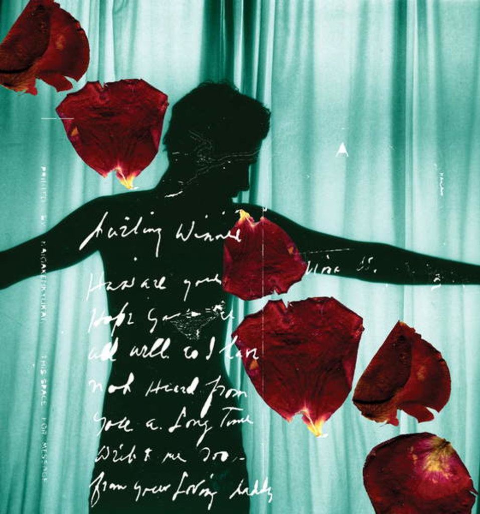 Detail of Darling Winnie by Anna Platts