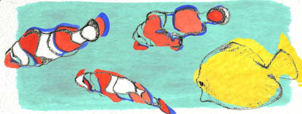 Detail of Fish by Anna Platts