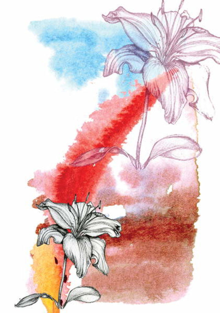 Detail of Lily by Anna Platts