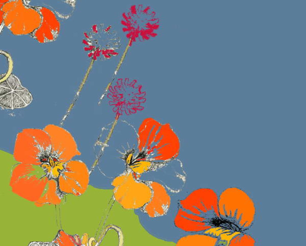 Detail of Nasturtium by Anna Platts