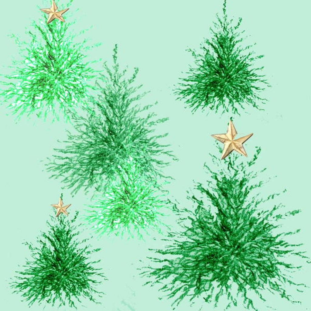 Detail of Star Trees by Anna Platts