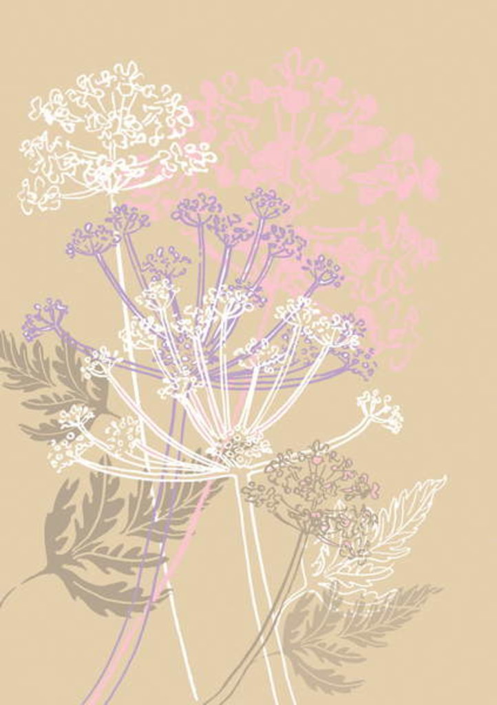 Detail of Cow Parsley, 2013 by Anna Platts