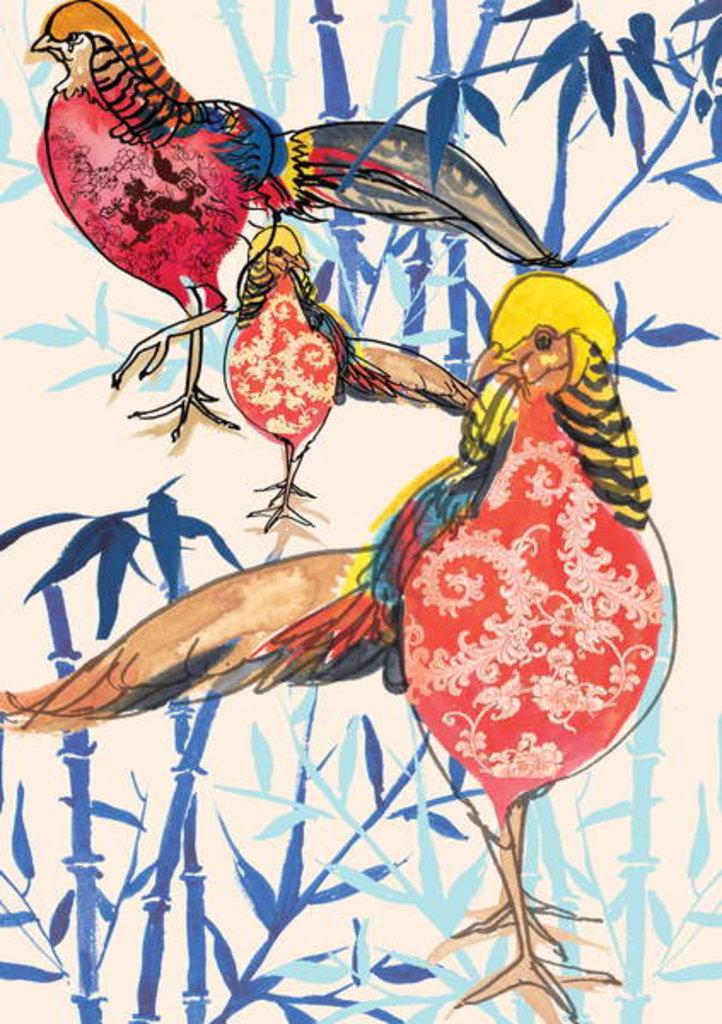 Detail of Golden Pheasant, 2013 by Anna Platts