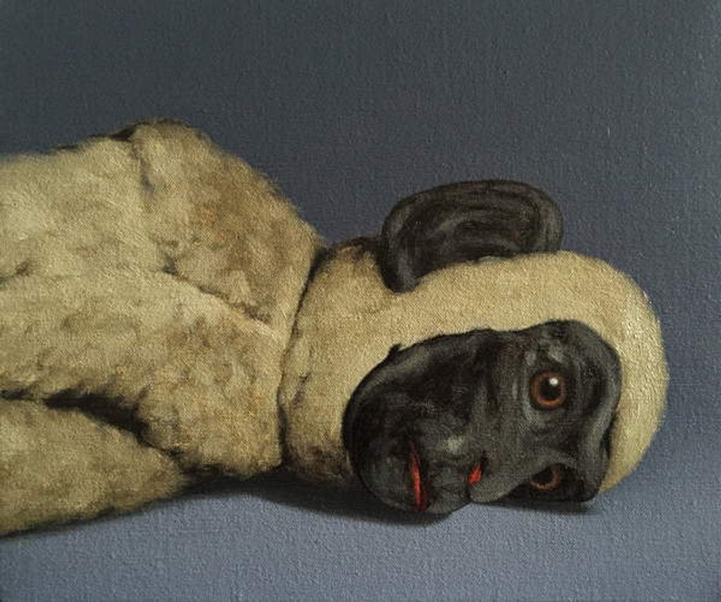 Detail of Monkey Still-Life, 2016 by Peter Jones