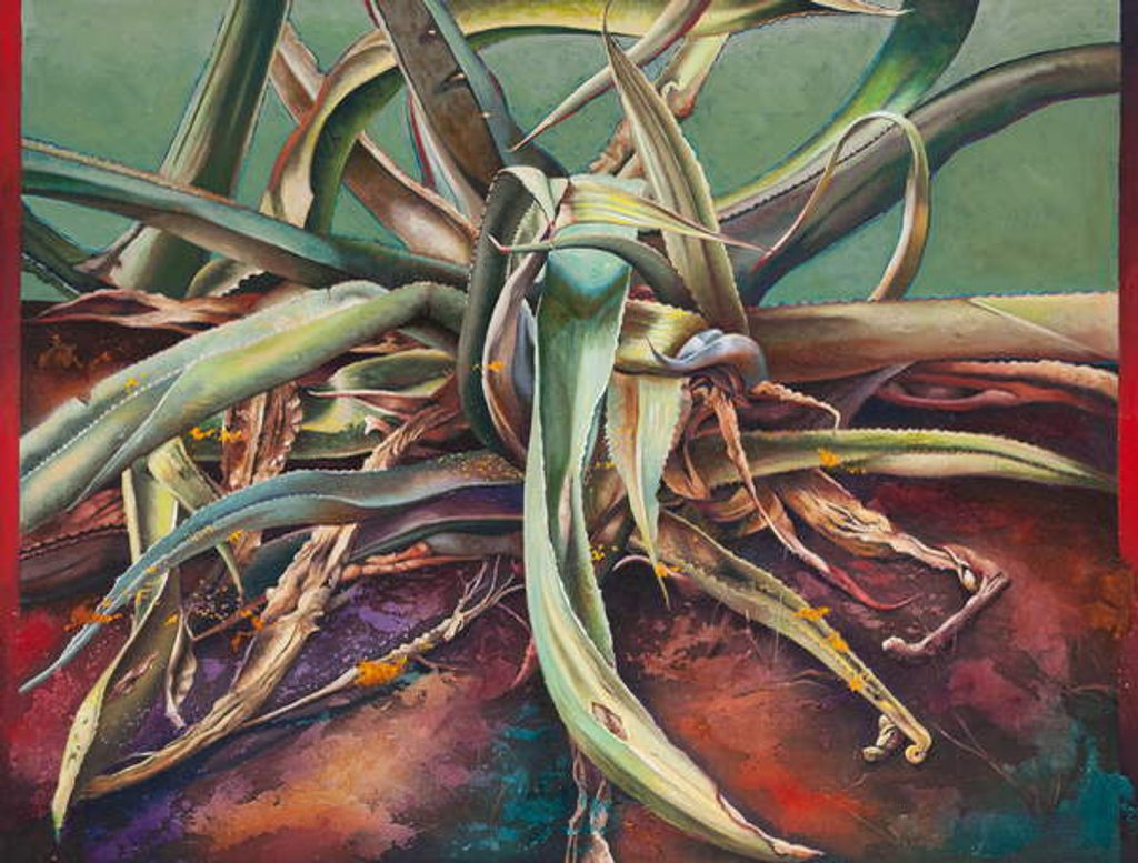 Detail of Century Plant, 2011 by Frances Ferdinands