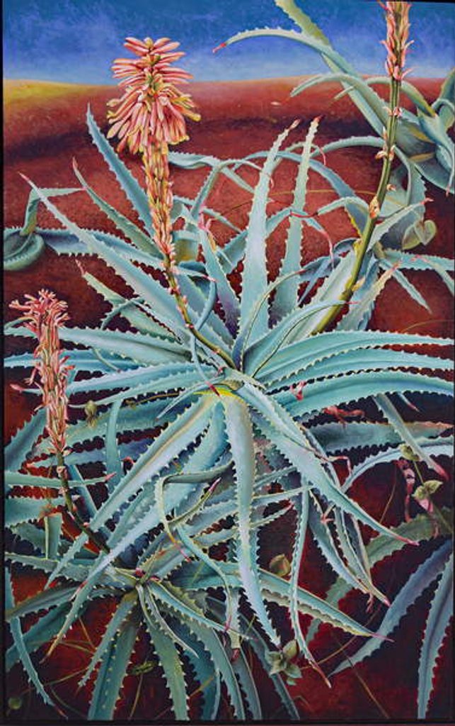 Detail of Aloe, 1991 by Frances Ferdinands