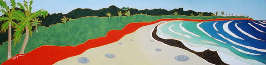 Detail of Dulan beach looking north, 2010 by Timothy Nathan Joel