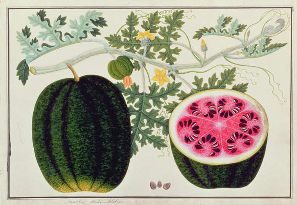 Detail of Mindikay or Water Melon by School Chinese