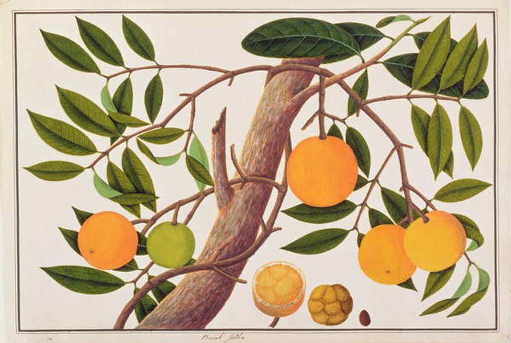 Detail of Booah Jebba by School Chinese