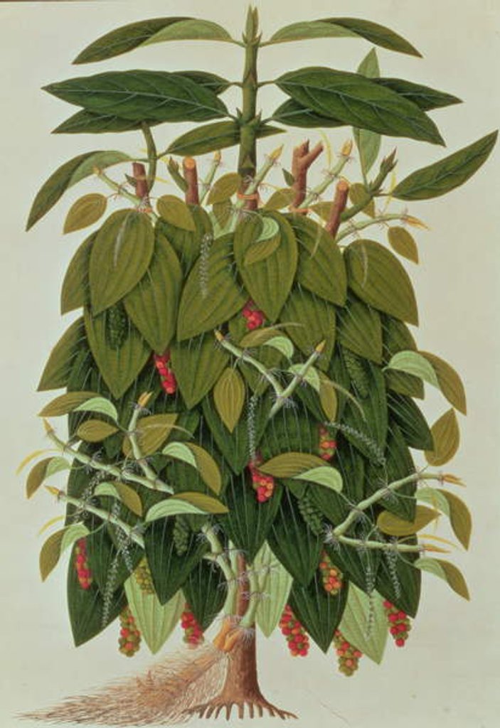 Detail of Lava Etam or Black Pepper by School Chinese