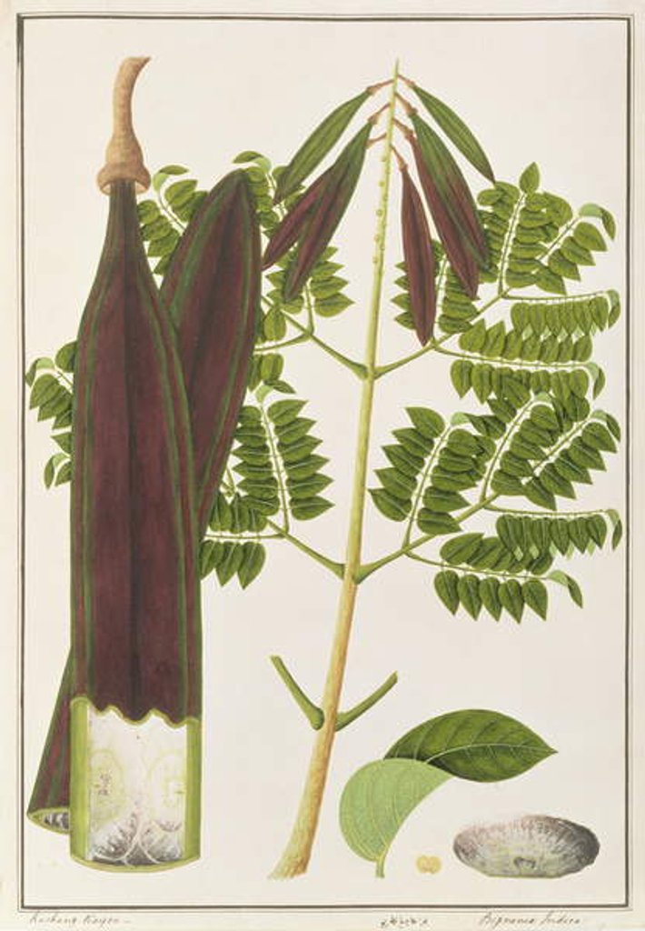 Detail of Midnight Horror by School Chinese